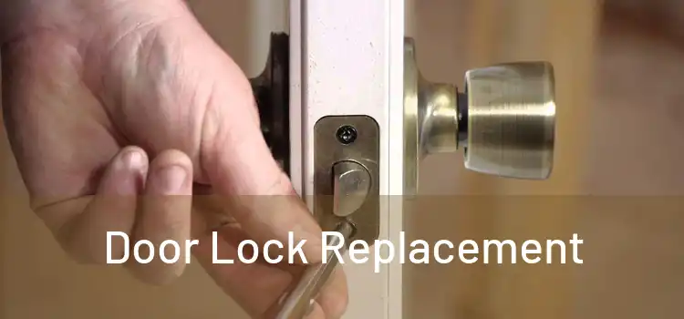  Door Lock Replacement 